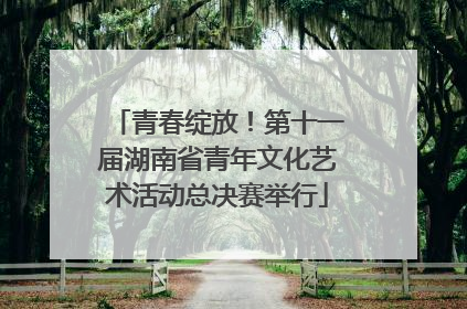 青春绽放！第十一届湖南省青年文化艺术活动总决赛举行