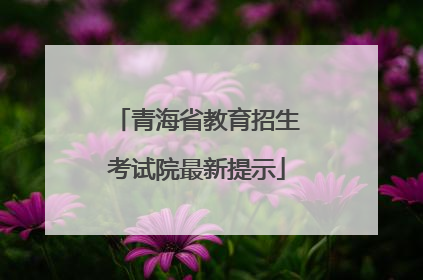 青海省教育招生考试院最新提示