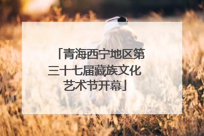 青海西宁地区第三十七届藏族文化艺术节开幕