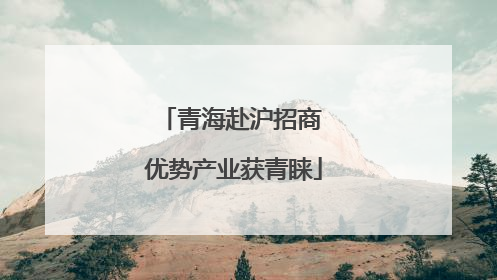 青海赴沪招商 优势产业获青睐