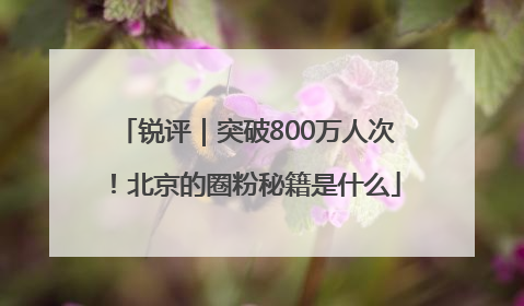 锐评｜突破800万人次！北京的圈粉秘籍是什么