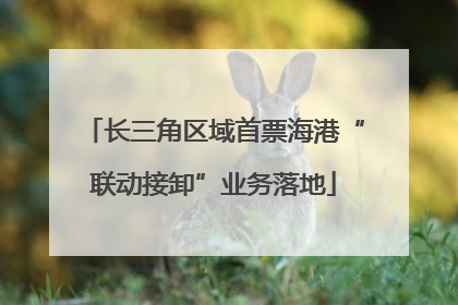 长三角区域首票海港“联动接卸”业务落地