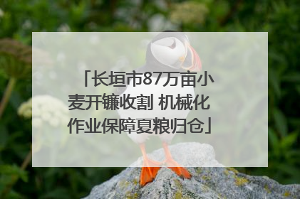 长垣市87万亩小麦开镰收割 机械化作业保障夏粮归仓