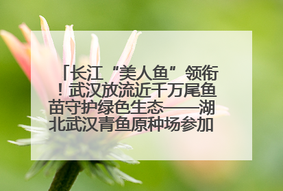 长江“美人鱼”领衔！武汉放流近千万尾鱼苗守护绿色生态——湖北武汉青鱼原种场参加2025年“全国放鱼日”增殖放流活动