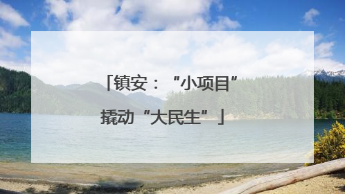 镇安：“小项目”撬动“大民生”
