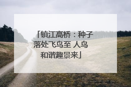 镇江高桥：种子落处飞鸟至 人鸟和谐趣景来
