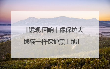 镜观·回响｜像保护大熊猫一样保护黑土地