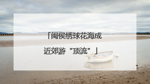 闽侯绣球花海成近郊游“顶流”