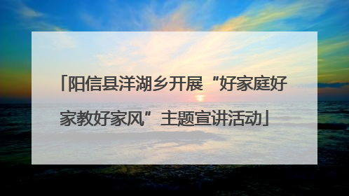 阳信县洋湖乡开展“好家庭好家教好家风”主题宣讲活动