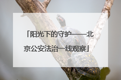 阳光下的守护——北京公安法治一线观察