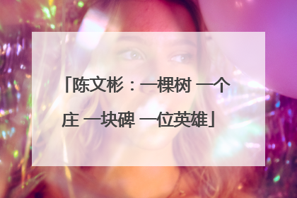 陈文彬：一棵树 一个庄 一块碑 一位英雄