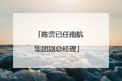 陈詟已任南航集团副总经理