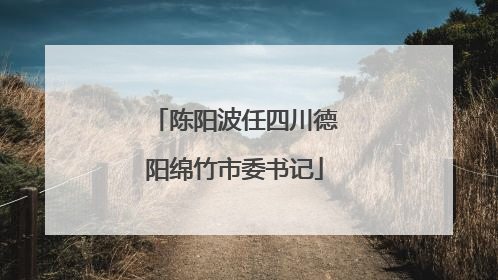 陈阳波任四川德阳绵竹市委书记