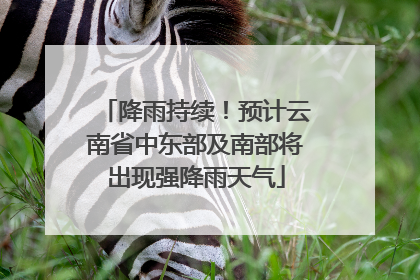 降雨持续！预计云南省中东部及南部将出现强降雨天气