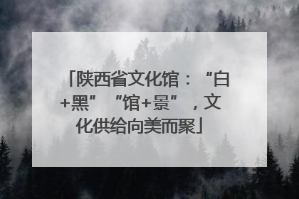 陕西省文化馆：“白+黑”“馆+景”，文化供给向美而聚