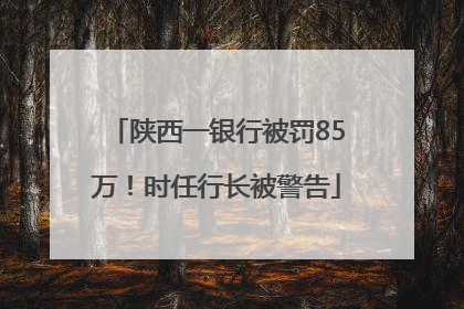 陕西一银行被罚85万！时任行长被警告
