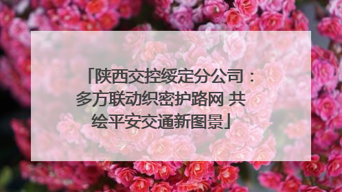 陕西交控绥定分公司：多方联动织密护路网 共绘平安交通新图景