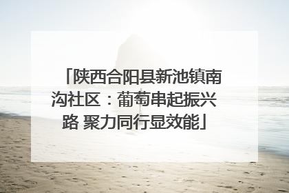 陕西合阳县新池镇南沟社区：葡萄串起振兴路 聚力同行显效能