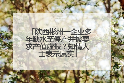 陕西彬州一企业多年缺水至停产并被要求产值虚报？知情人士表示属实