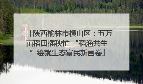 陕西榆林市横山区：五万亩稻田插秧忙 “稻渔共生”绘就生态富民新画卷