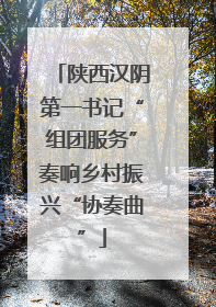 陕西汉阴第一书记“组团服务”奏响乡村振兴“协奏曲”
