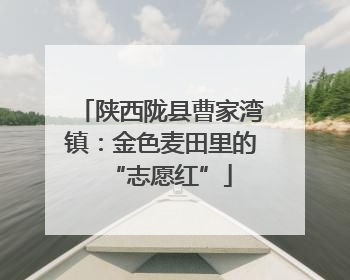 陕西陇县曹家湾镇：金色麦田里的“志愿红”