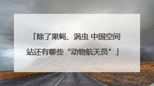 除了果蝇、涡虫 中国空间站还有哪些“动物航天员”