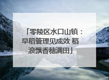 零陵区水口山镇：早稻管理见成效 稻浪飘香穗满田