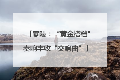 零陵：“黄金搭档”奏响丰收“交响曲”