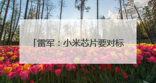 雷军：小米芯片要对标苹果，小米15SPro售价5499元起