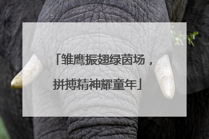 雏鹰振翅绿茵场，拼搏精神耀童年