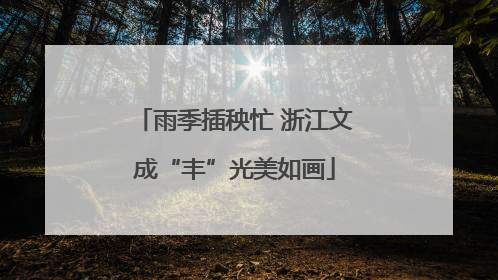 雨季插秧忙 浙江文成“丰”光美如画