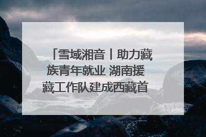 雪域湘音丨助力藏族青年就业 湖南援藏工作队建成西藏首个清洁能源装备园