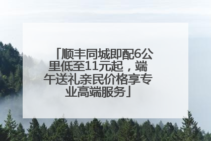 顺丰同城即配6公里低至11元起，端午送礼亲民价格享专业高端服务
