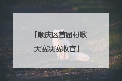 顺庆区首届村歌大赛决赛收官