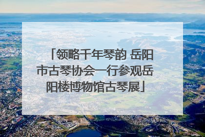 领略千年琴韵 岳阳市古琴协会一行参观岳阳楼博物馆古琴展