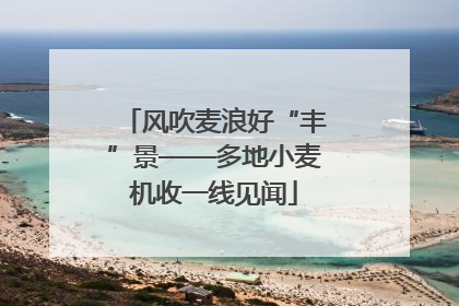 风吹麦浪好“丰”景——多地小麦机收一线见闻