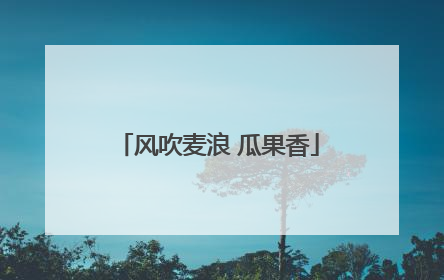 风吹麦浪 瓜果香