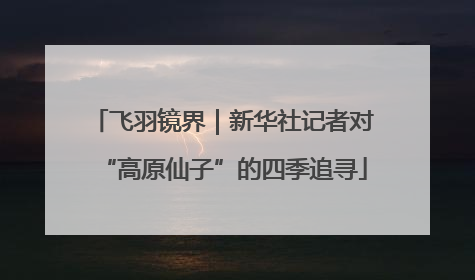 飞羽镜界｜新华社记者对“高原仙子”的四季追寻
