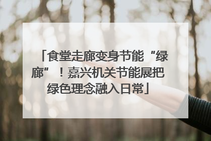 食堂走廊变身节能“绿廊”！嘉兴机关节能展把绿色理念融入日常