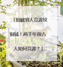 馆藏羽人竞渡纹铜钺！两千年前古人如何竞渡？