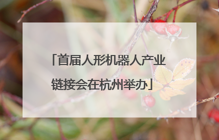 首届人形机器人产业链接会在杭州举办
