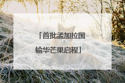 首批孟加拉国输华芒果启程