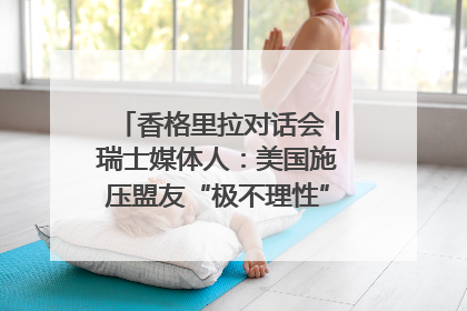 香格里拉对话会｜瑞士媒体人：美国施压盟友“极不理性” 欧洲国家无意与中国“脱钩断链”