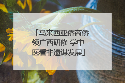 马来西亚侨商侨领广西研修 学中医看非遗谋发展