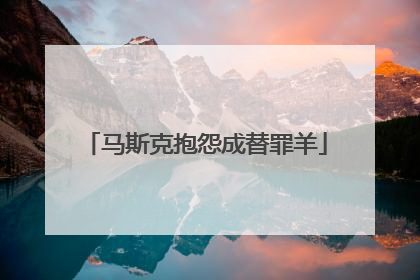 马斯克抱怨成替罪羊