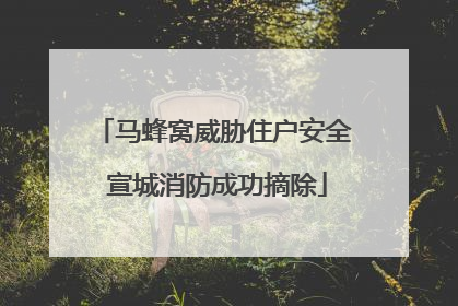 马蜂窝威胁住户安全 宣城消防成功摘除