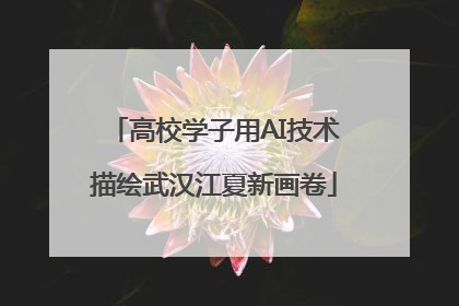 高校学子用AI技术描绘武汉江夏新画卷