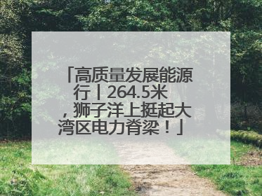高质量发展能源行丨264.5米，狮子洋上挺起大湾区电力脊梁！