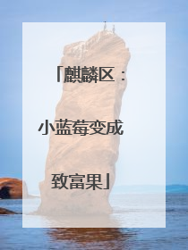 麒麟区：小蓝莓变成致富果